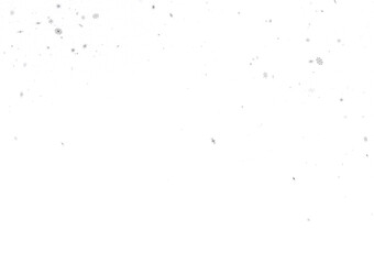 Glistening Snow Shower: Striking 3D Illustration Showcasing Falling Holiday Snowflakes