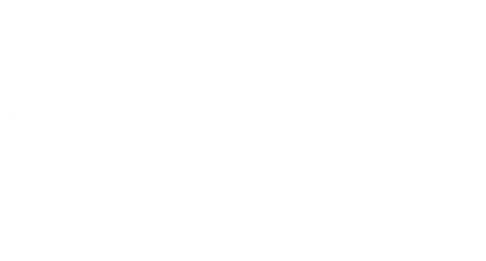 Clean, minimalist white texture. Perfect for websites, presentations, and more.