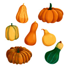 Autumn Colorful Pumpkin Collection Art