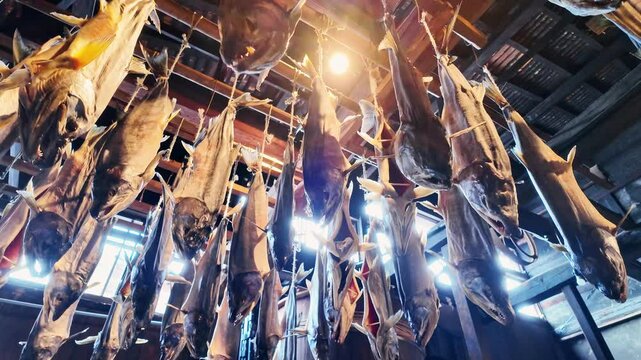 塩引鮭の吊るされた日本家屋