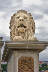 Close-up of a lion statue. Lion sculpture on the Szechenyi Bridgein Budapest Hungary, made in 1852.