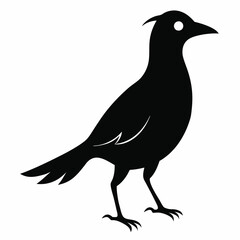 Obraz premium Black silhouette of a bird with a white eye on a white background vector