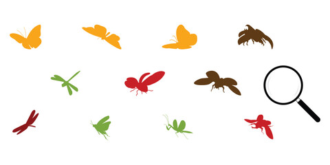 Obraz premium Insect or bug for catching on flying state Icon set collection bold silhouette style. Containing dragonfly, butterfly, grasshopper, praying mantis, lady bug, beetle, and searching magnifying glass