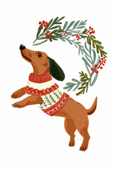 Christmas dachshund in red sweater jumping with greenery wreath. Holiday pet illustration.
