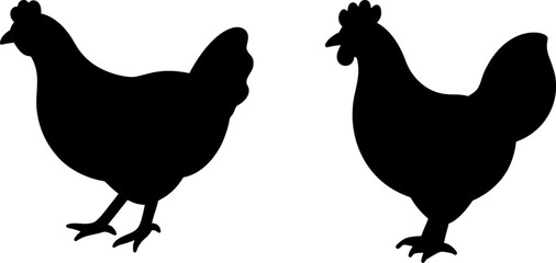 Fototapeta premium Chicken vector, Vector of Chicken, A set of Chicken animal art designs, Chicken icon isolated