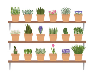 Illustration of planters with plants and flowers at home shelves. Vertical urban garden concept. Hand-drawn vector illustration