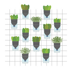 Self-watering plastic bottle planters on white background. Vertical garden, urban farming concept. Hand-drawn vector illustration