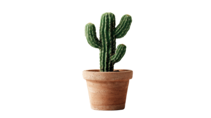 A vibrant cactus in a terracotta pot, perfect for adding a touch of greenery to any space.