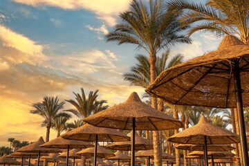 Woven rush beach umbrellas with a background of lush palm tress and sunset. Generic vacation resort...