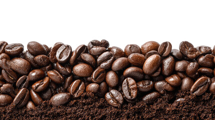 Fototapeta premium Freshly ground coffee beans and powder on a black background.