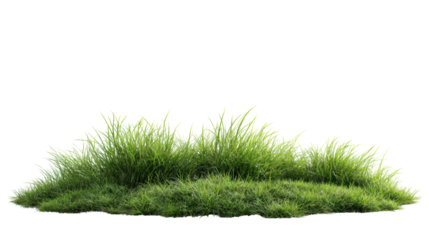 Green grass mound on a white isolated background.