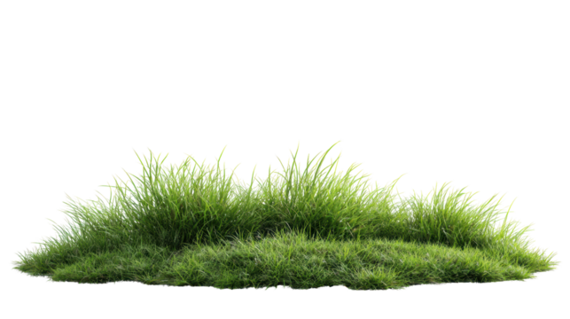 Green grass mound on a white isolated background.