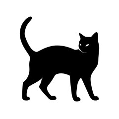 black cat vector illustration