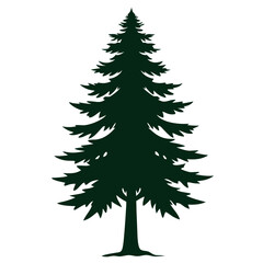 pine tree vector