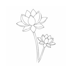 vector illustration of lotus