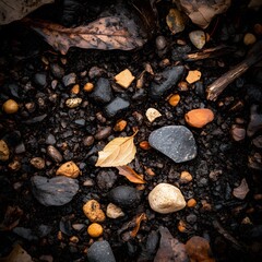 Autumnal Ground Texture,  Wet Stones, Fallen Leaves, and Dark Soil