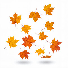 Fototapeta premium Autumn leaves falling gracefully on a white background 