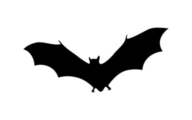 Halloween Bat – Black and White Vector Line Art
