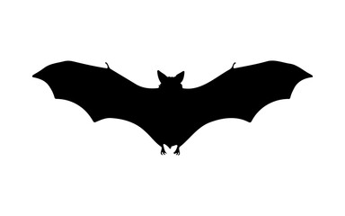 Halloween Bat – Black and White Vector Line Art