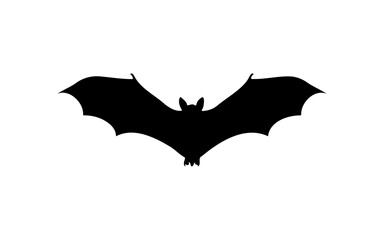 Halloween Bat – Black and White Vector Line Art
