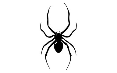 Halloween Spider – Black and White Vector Line Art