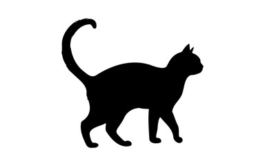 Cute Halloween Cat with Pumpkin