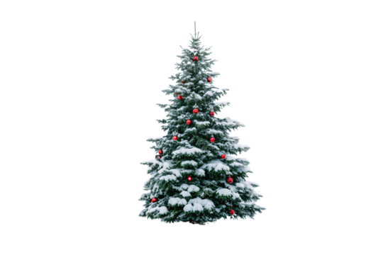 Festive Christmas tree covered in snow with red ornament decorations scattered throughout, isolated on a transparent background