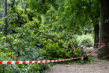Berlin, Europe, tree storm, storm damage, dry heat, trees, playground