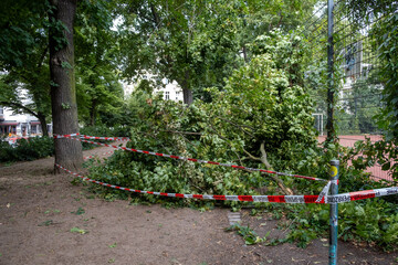 Berlin, Europe, tree storm, storm damage, dry heat, trees, playground