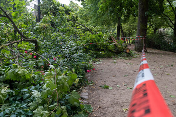 Berlin, Europe, tree storm, storm damage, dry heat, trees, playground