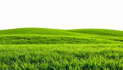 Fototapeta premium green grassland landscape isolated on white or transparent 