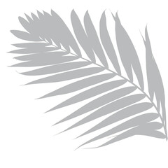 Minimalist line art of a palm frond on a muted gray background