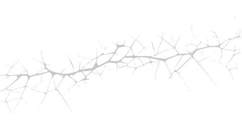 Broken glass on a white background with an abstract winter tree branch silhouette