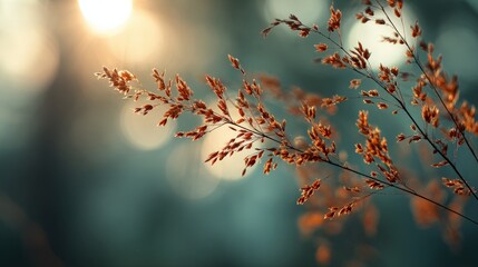 Discovering Tranquility in Summer's Embrace With Golden Rays Illuminating Serene Nature Scenes