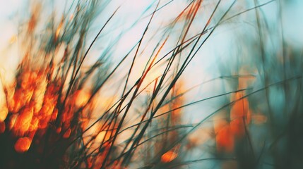 Beautiful Summer Evening With Serene Nature and God Rays Illuminating Orange and Teal Colors in Soft Focus
