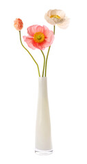 Beautiful poppy flowers in vase isolated on white