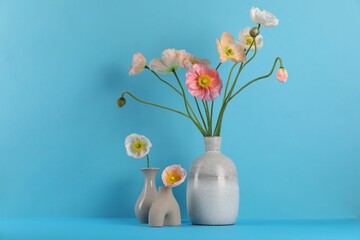 Beautiful poppy flowers in vases on light blue background, closeup