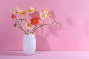 Beautiful poppy flowers in vase on pink background, closeup. Space for text