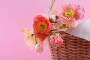 Beautiful poppy flowers in wicker basket on pink background, closeup
