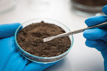 Scientist taking soil sample for research at table in laboratory, closeup