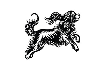  black against a white dog.