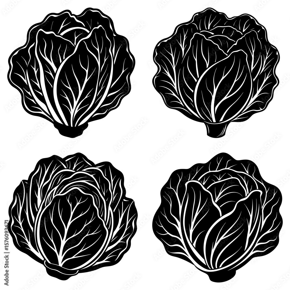 Poster four black and white cabbage heads with detailed leaf patterns arranged on a white background in a s
