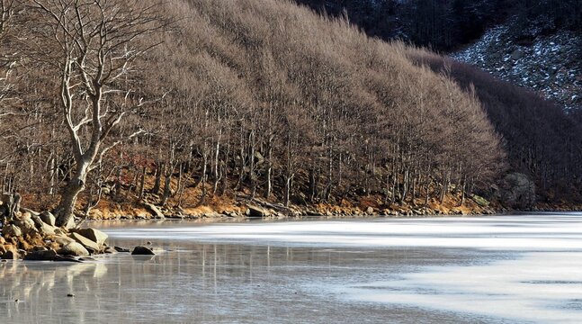 bare beech trees around the frozen Parma Santo Lake