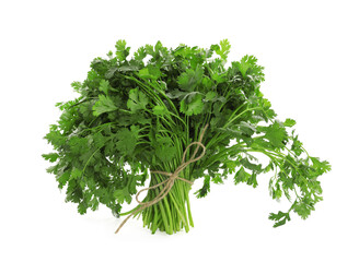Bunch of fresh cilantro isolated on white