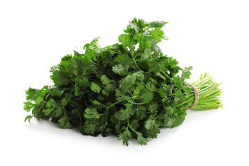Bunch of fresh cilantro isolated on white
