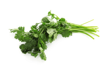 Fresh cilantro isolated on white, top view