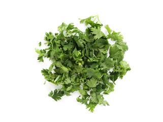 Pile of fresh cilantro sprigs isolated on white, top view