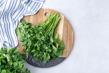Fresh green cilantro on light table, flat lay. Space for text