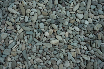 A close-up shot of various smooth, grey and teal pebbles, creating a natural texture background.