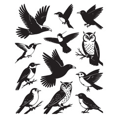 Obraz premium set of vector birds